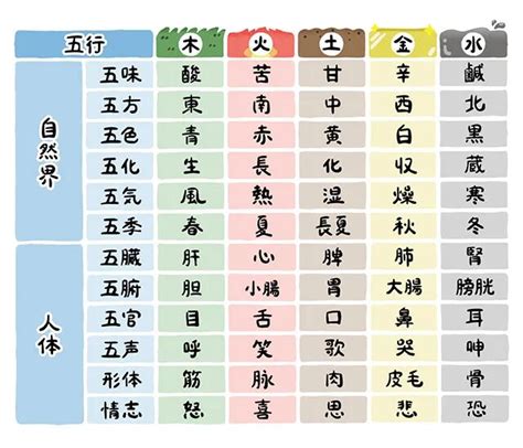 五行 体の部位|【漢方基礎知識】中医学の基礎となる哲学「五行学説。